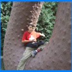 DSCF0833.JPG