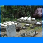 DSCF0838.JPG