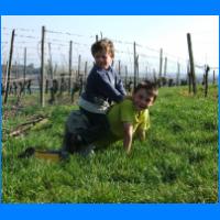 Pferd&Reiter.jpg