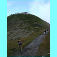 06.jpg
