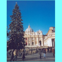 Petersplatz_04.html